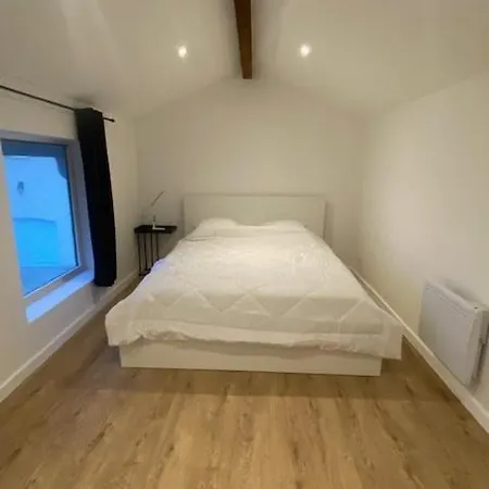 Le Cosmos Bressan Apartment Bourg-en-Bresse